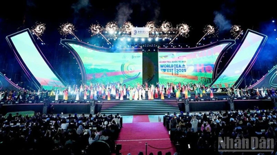 베트남 차 브랜드의 정수를 연결하고 확산하다