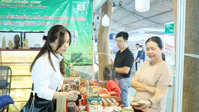 Ipari promóciós tevékenységek előmozdítása