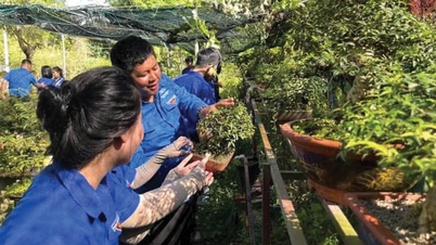 युवा लोग उत्पादन और व्यवसाय में अच्छे होते हैं