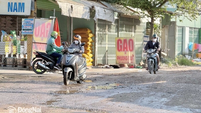 Trang Dai 구역의 교통 인프라 조정이 필요합니다.
