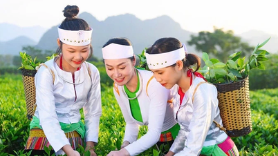 Tarım ürünlerinin durumunu iyileştirmenin anahtarı