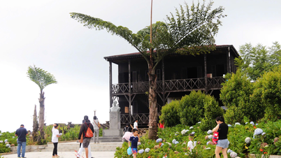 Çiçekleri ve çimenleri görmek için Hon Ba'ya gidin