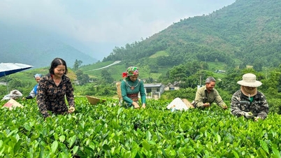 Zrównoważony i równomierny rozwój regionalny