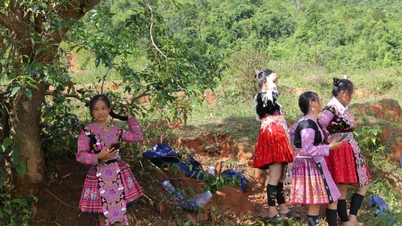 Réduire le déficit d'information pour lutter contre la pauvreté multidimensionnelle