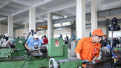 第11回全国愛国模範大会に向けて：