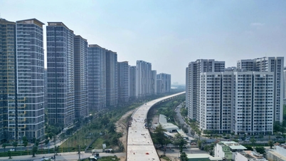 Ho Chi Minhstad: Bevordering van verkeersprojecten met aansluiting op de luchthaven van Long Thanh