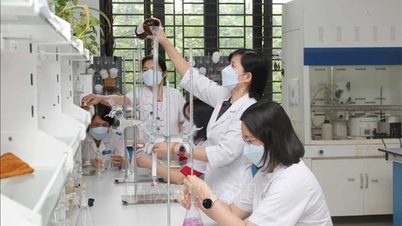 ទីក្រុងហាណូយបានវិនិយោគរួមគ្នាក្នុងមន្ទីរពិសោធន៍ចំនួនបី ដើម្បីអភិវឌ្ឍបច្ចេកវិទ្យាទំនើបដែលស្របតាមស្តង់ដារអន្តរជាតិ។