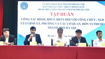 بهبود کیفیت اجرای بیمه نامه در سطح پایه