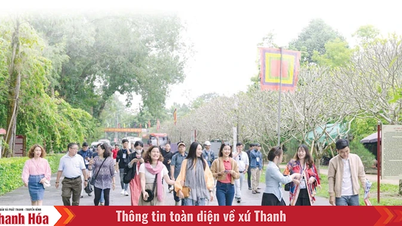 Ready to "catch the wave" of new customer market