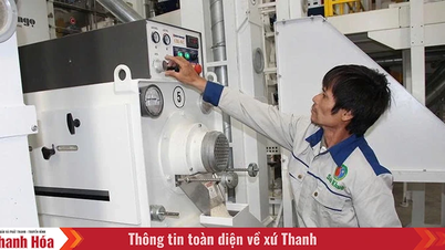 기업들은 시장을 확대하기 위해 기술을 혁신합니다.