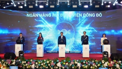 ٹشو بینک پیدا ہوا، قرنیہ کی بیماریوں کے مریضوں کے لیے زیادہ امید