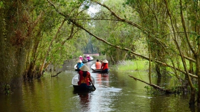Làng nổi Tân Lập – chốn bình yên giữa làng quê sông nước