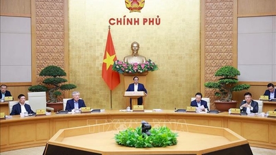 ທ່ານ​ນາ​ຍົກ​ລັດ​ຖະ​ມົນ​ຕີ ຟ້າມ​ບິ່ງ​ມິງ ເປັນ​ປະ​ທານ​ກອງ​ປະ​ຊຸມ​ລັດ​ຖະ​ບານ​ປະ​ຈຳ​ເດືອນ 11/2025