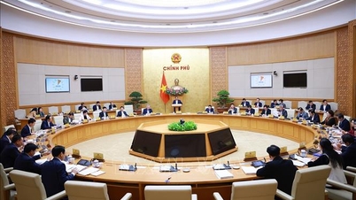 Die Regierung bat um eine Beschleunigung der Auszahlung und die Fertigstellung der sozioökonomischen Berichte.