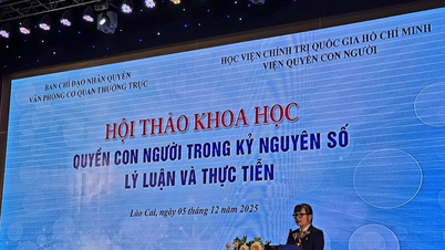 ضمان حقوق الإنسان في العصر الرقمي