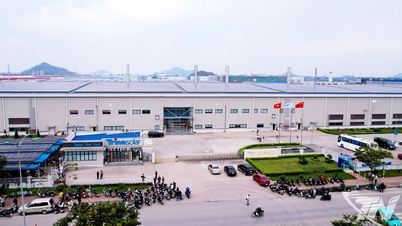 Industriella "pelare" upprätthåller tillväxten