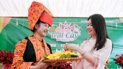 Відкриття фруктового фестивалю Бакнінь, понад 630 мільйонів доларів на підтримку постраждалих від повені в Центральному нагір'ї