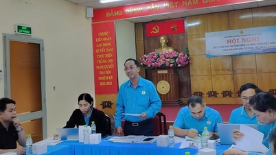 Ho Chi Minh-staden bidrar med idéer för att finslipa utkastet till stadga för Vietnams fackförening