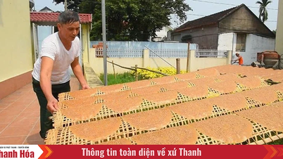 Desa kerajinan Thanh ramai selama musim Tet