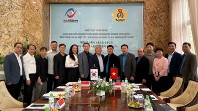 Hai Phong e Suwon trocam experiências para melhorar a qualidade das atividades sindicais.