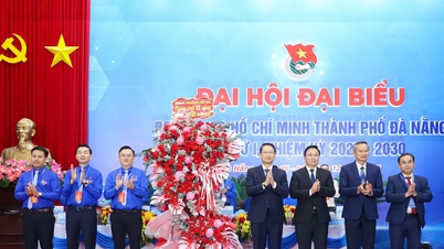 نئی مدت میں ایک مضبوط اور جامع یوتھ یونین تنظیم بنانے کا عزم