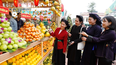 مهرجان باك نينه للفواكه 2025: يجذب الزوار من جميع أنحاء العالم