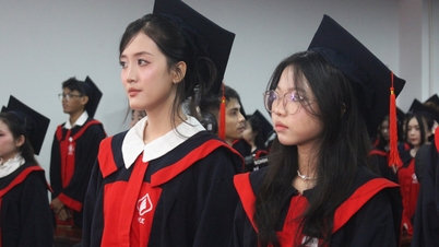 호치민시에 대학교와 단과대학을 설립할 계획: 어떤 부서가 그대로 유지되거나 합병될까요?