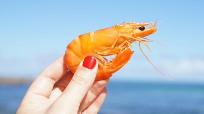 Haruskah Anda makan kepala dan kulit udang?