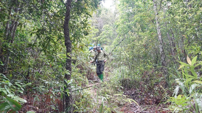Obec Mu Cang Chai posiluje prevenci a kontrolu lesních požárů v období sucha