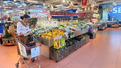 11 مہینوں میں، اشیاء کی خوردہ فروخت اور صارفین کی خدمات کی آمدنی میں 9.1 فیصد اضافہ ہوا۔