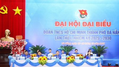 En el período 2025-2030, la Unión de Jóvenes Comunistas de Ho Chi Minh de la ciudad de Da Nang se esfuerza por implementar 2.000 proyectos juveniles que apliquen la transformación digital.