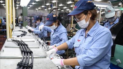 Giải ngân vốn FDI 11 tháng năm 2025 đạt 23,6 tỷ USD