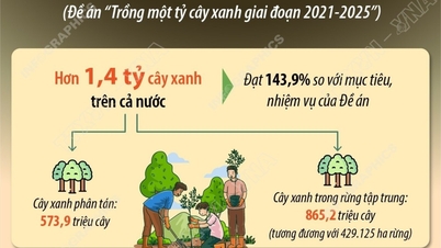 En los últimos cinco años se han plantado más de 1.400 millones de árboles.