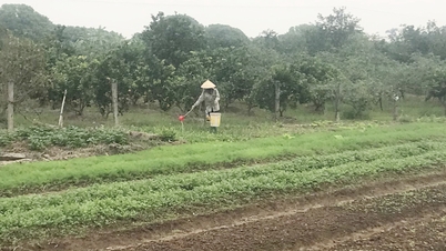 सर्दियों की यादें