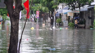 ہو چی منہ سٹی کے سیلاب سے بچاؤ کے منصوبے پر رپورٹ کا مواد مکمل کریں۔