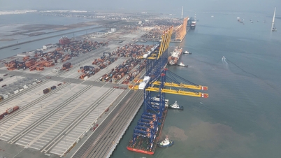 ท่าเรือ Hateco Hai Phong นำอุปกรณ์ขนถ่ายสินค้าที่ทันสมัย ​​8 เครื่องมาใช้งาน