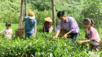 کمیونٹی سیاحت کی ترقی کی طاقتوں سے فائدہ اٹھانا