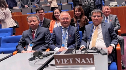 The Ministry of Industry and Trade affirms its core role in implementing the Chemical Weapons Convention and implementing the 2025 Chemical Law.