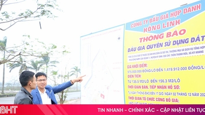 Southern Ha Tinh residential area infrastructure "escaped stagnation", auction exceeded starting price of 53.5 billion VND