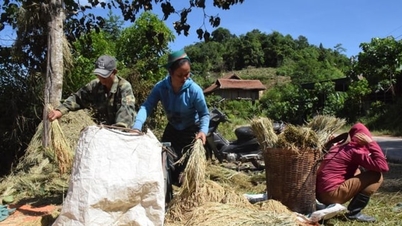 न्घे एन: जातीय अल्पसंख्यक और पहाड़ी क्षेत्रों में सहकारी मॉडल और सहकारी समूहों के विकास में आने वाली कठिनाइयों का समाधान