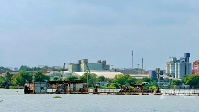 Η μέγιστη παλίρροια στον σταθμό Bien Hoa είναι περίπου στο επίπεδο συναγερμού 2.