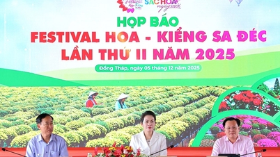 Dong Thap organizes the 2nd Sa Dec Flower - Ornamental Festival in 2025 'Colors of flowers of a new day'