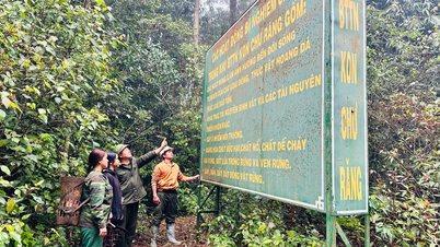 Cộng đồng chung sức giữ rừng Kon Chư Răng