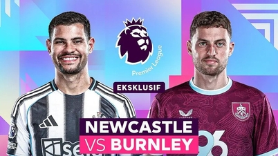 Comentarios del partido Newcastle vs Burnley, 22:00 horas, 6 de diciembre: Bullying a los débiles