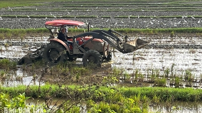 嵐と洪水の後、2025～2026年の冬春作物は多くの困難に直面しています。