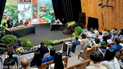 世界のコーヒー産業のバリューチェーンに関する国際会議