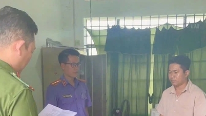 Arrestaron a funcionario comunal en Lam Dong por malversar 500 millones de VND en dinero...