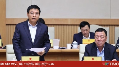 កំណើនប៉ាន់ស្មាននៃតំបន់ 20/34 លើសពី 8% នៅឆ្នាំ 2025