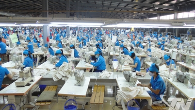 타이응우옌: 11개월간 예산 수입 24.5% 증가