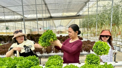 람동, 지속 가능한 새로운 농촌 지역 조성